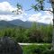 MONT MADISON AND MT: ADAMS