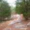 Conyers 1996 Olympic trail