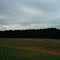 Playing Cricket on Sunday