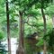 Ebenezer Creek