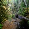 Oregon Coast