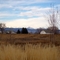 Longmont