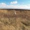 Gallaher - Reeder Cemetery