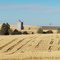 Myrick Grain Elevator and Windmill
