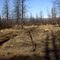 18 Fire near Bend, Oregon   2005