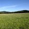 "May's Meadow" on Mount Harris