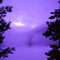 Twilight-Rogue River nf Or