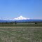 Mount Jefferson