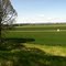 Overlooking "the bottom" at Fanning Farms