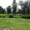 Before the plowing and planting