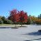 Publix parking lot  Chattanooga Tennessee