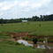 Nance's Farm, Cohutta