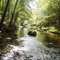Evans Creek