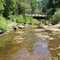 Bridge on West Fork Trail Creek