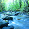Elk Creek