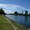 Willamette River at Harrisburg...