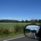 Willamette Valley...