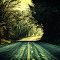 Hallow's Road