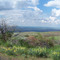 View from Emigrant Hill