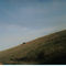 lonley tree on big hill