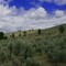 Sagebrush Heaven....