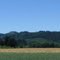 Willamette Valley...