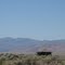 Reallis Homestead