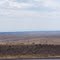 Oregon Desert