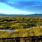 Twilight Eagle Sanctuary [5427 x 2948 pixels]