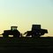 Tractors at dusk
