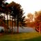 Misty Morning