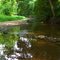A ford of placed stones in a creek bed in Foundation Park.