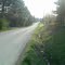 8731 Jersey Mill Road, Ohio summer