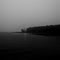 Foggy Shores at Hoover Reservoir (Ohio)
