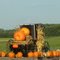 Amish Country Halloween Decorations