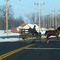 Amish Wagon crossing US250 in southeast Wayne County Ohio USA