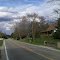 Looking W on bridge - Apr 2011