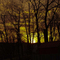 Early morning behind my house