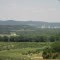 Hirsch's Fruit Farm