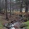 Stream at St. Louis De Monfort Seminary Grounds