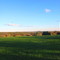 Chesnut Hill