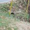 Hopewell Road @ Redd Road  Intersection -view southwest quadrant Drainage Structure