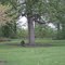 Tire Swing