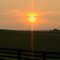 Farm twilight