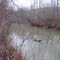 Clear Creek Site 11: Upstream