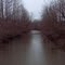 Clear Creek Site 10: Downstream