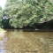 Conasauga Assessment Site 9