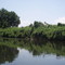 Conasauga PhotoPoint @ Site 5