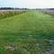 Petty Farms Airport (private) - 60' wide - looking South