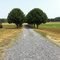 Driveway at 920 Hawkins Road